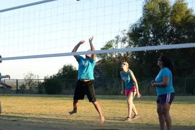 DSC_5297 (Large).JPG